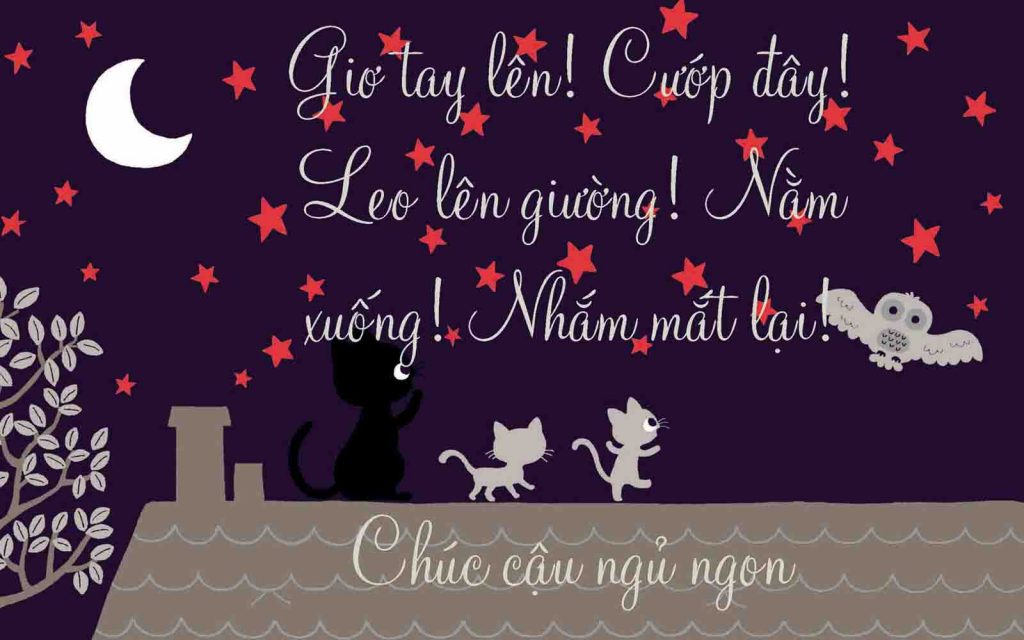 Lời chúc ngủ ngon bá đạo